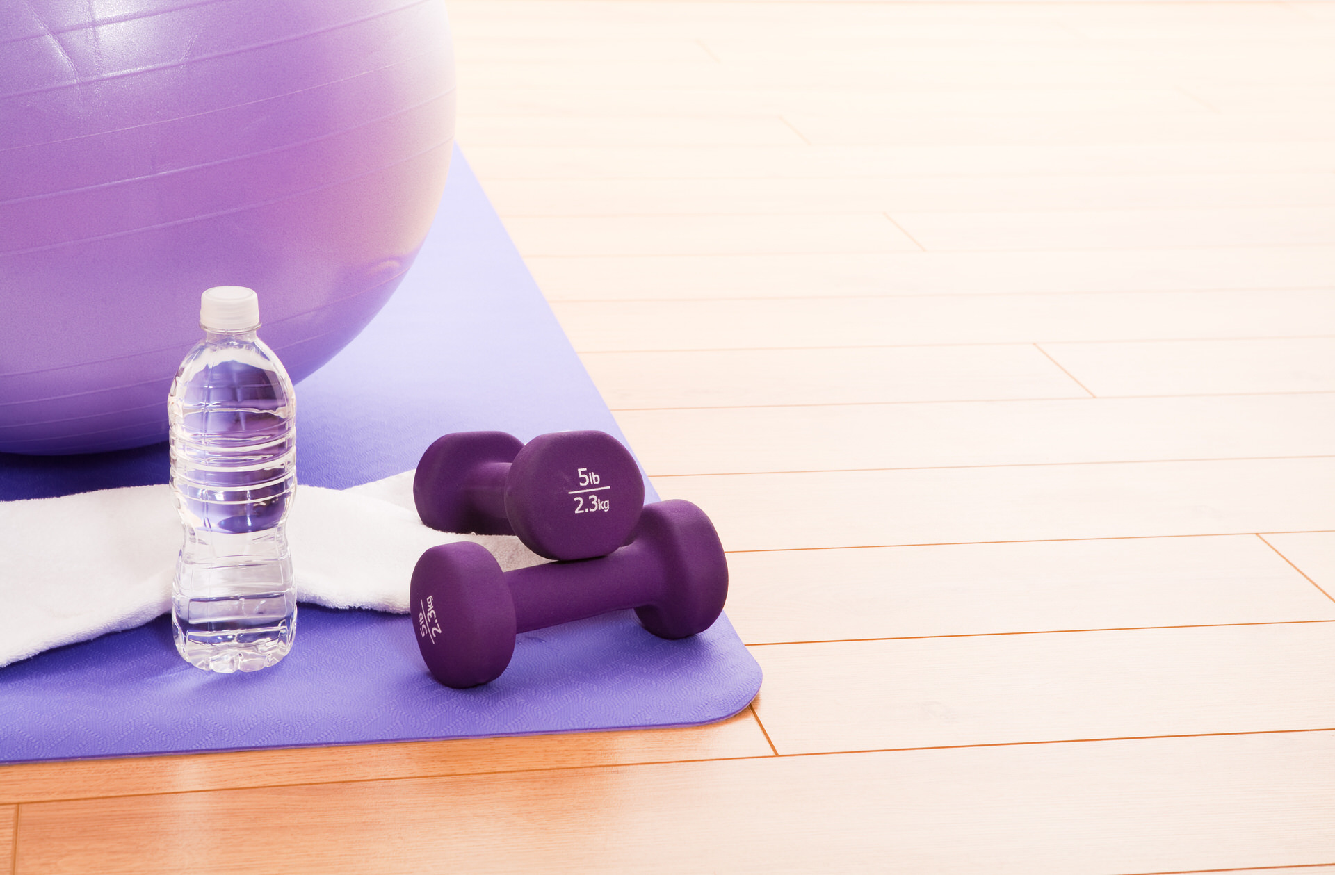 Purple Fitness Ball