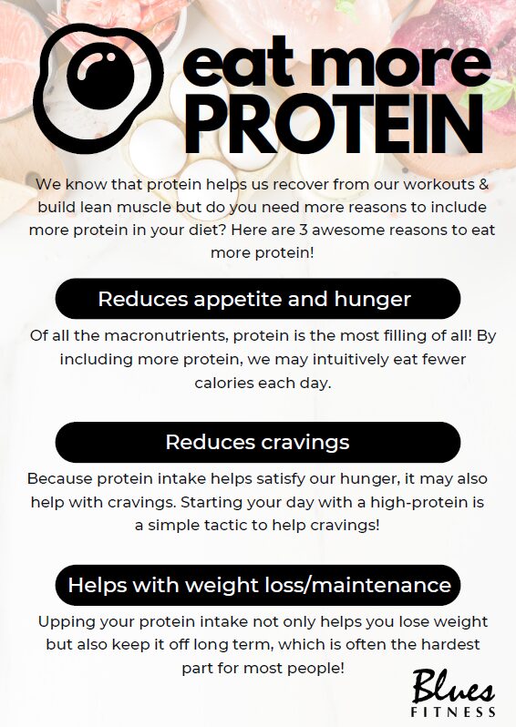 Protein handout the blueprint featured image