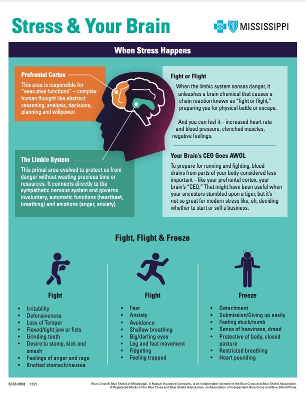 Stress & Your Brain Handout Featured Image